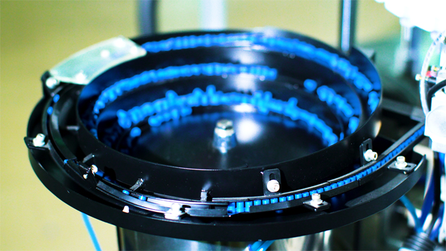 kausikorgid söötmine.jpg